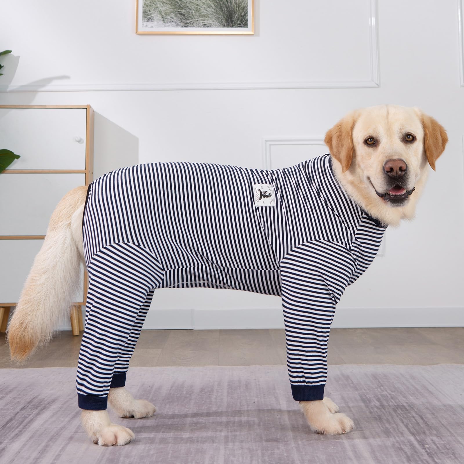Post Surgery Dog Onesie with Zipper - Full Body Dog Recovery Suit for Large & Medium Dogs - Male/Female Dog Surgery Suit After Spay - Soft Dog Pajamas for Wound Protection & Comfort - Ideal for Post-Op Care, Wound Healing & Stress Relief