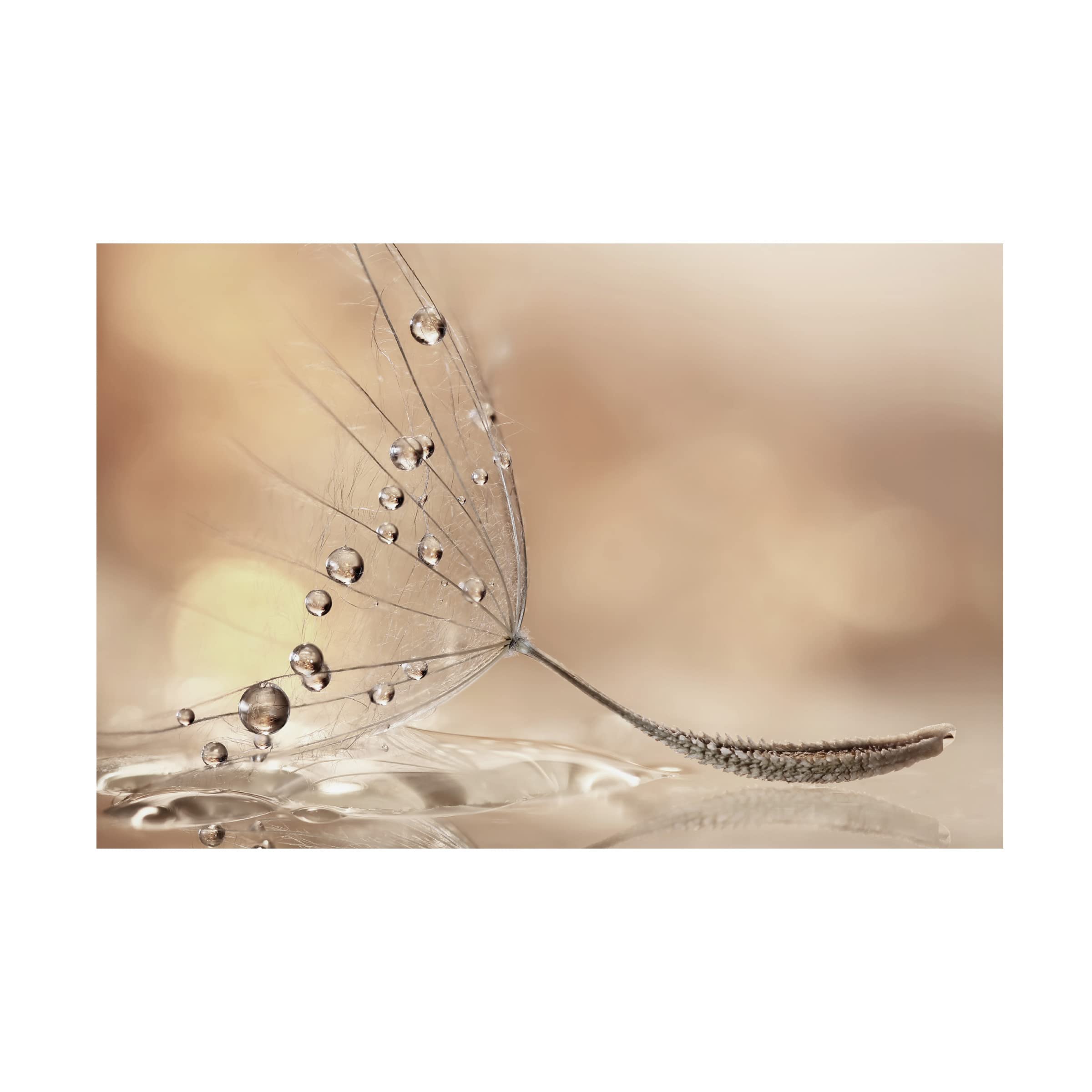 Trademark Fine Art 'Prestige' Canvas Painting by Rina Barbieri - Elegant Wall Decor for Living Room, Bedroom & Office