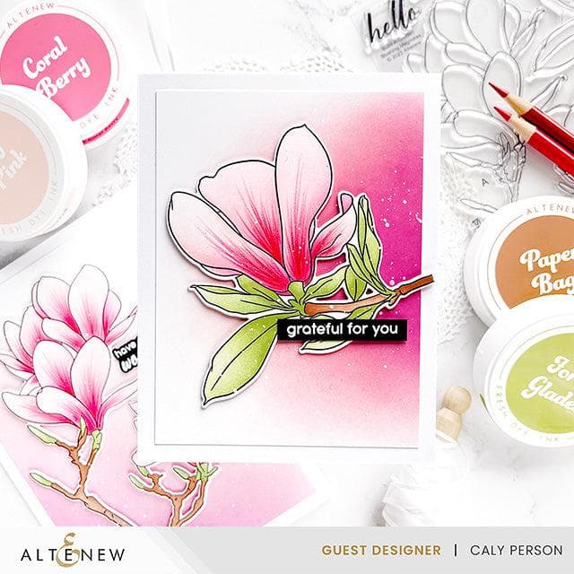 Blushing Magnolia Tree for Sale - Beautiful Pink Flowering Plant for Home Garden Landscaping | Perfect for Backyard, Patio & Outdoor Decor