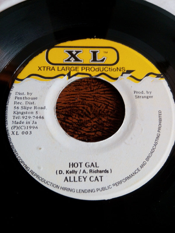 Alley Cat / Rude Bwoy Kelly - Hot Gal / Girls Anthem Vinyl 7