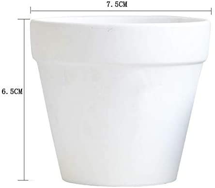 XXYXXY 3 Inch Terracotta Flower Pots (40 Pack) - Modern Indoor Plant Pots with Drainage for Succulents, Herbs & Houseplants | White Ceramic Garden Decor for Home, Office & Balcony