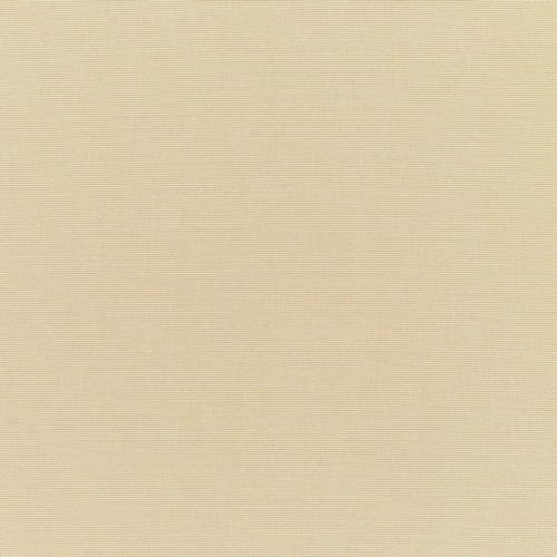 Canvas Canvas