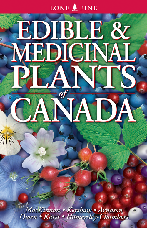 Edible & Medicinal Plants of Canada - Wild Foraging Guide with Identification Tips for Hiking, Camping & Survival Scenarios