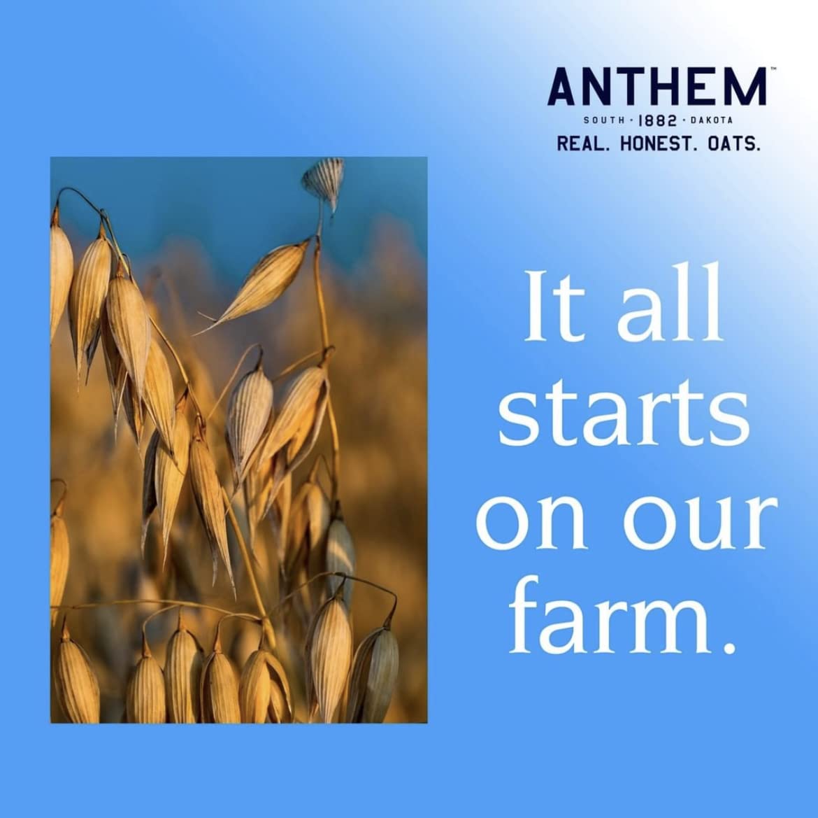 Anthem Vanilla Chai Instant Oatmeal - Whole Grain Oats, Natural Vanilla & Chai Spices - Quick & Easy Breakfast - Perfect for Busy Mornings, Office Snacks & Healthy On-the-Go Meals - 11.25 Oz Pack
