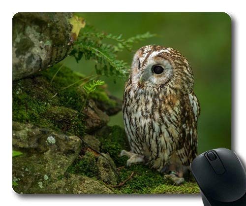 Premium Owl Egg Bird Design Mouse Pad with Stitched Edges - Non-Slip Gaming & Office Desk Accessory for Computers & Laptops