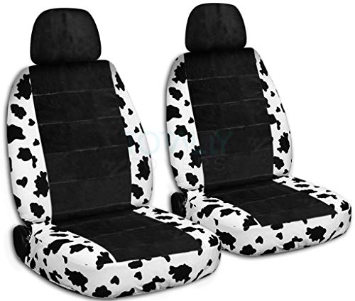 Cow & Black