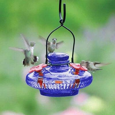 Bloom Hummingbird Feeder - Handmade Glass Hummingbird Feeder with Ant Moat & 5 Feeding Ports - Perfect for Outdoor Garden, Patio, and Backyard Bird Watching