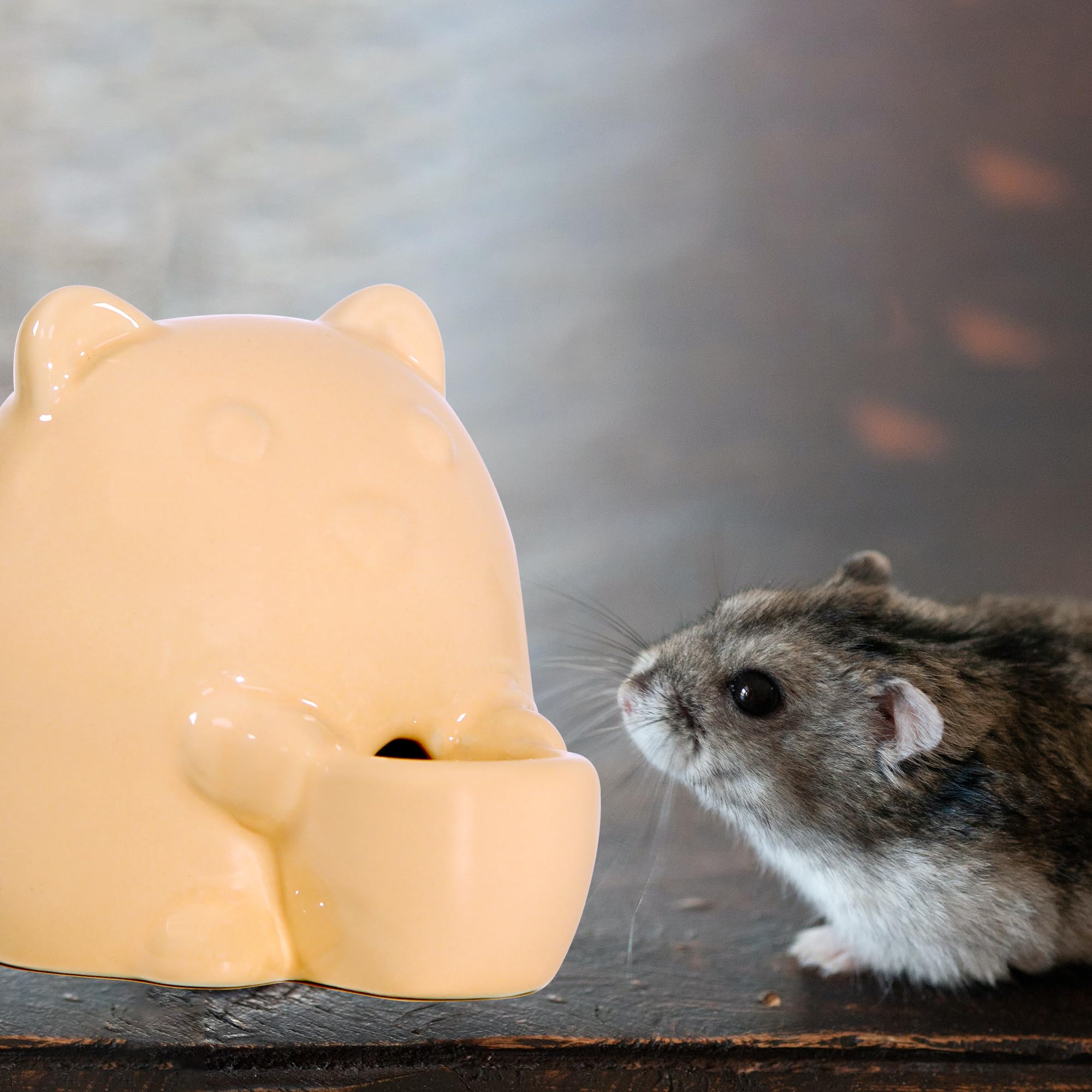 No-Drip Ceramic Small Animal Water Bottle for Hamsters, Guinea Pigs, Rabbits, Hedgehogs & Chinchillas - Leak-Proof Pet Water Dispenser with Ceramic Spout (Orange) - Perfect for Cages, Habitats & Travel Carriers