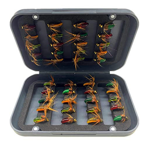 24Pcs/Box-Single Style