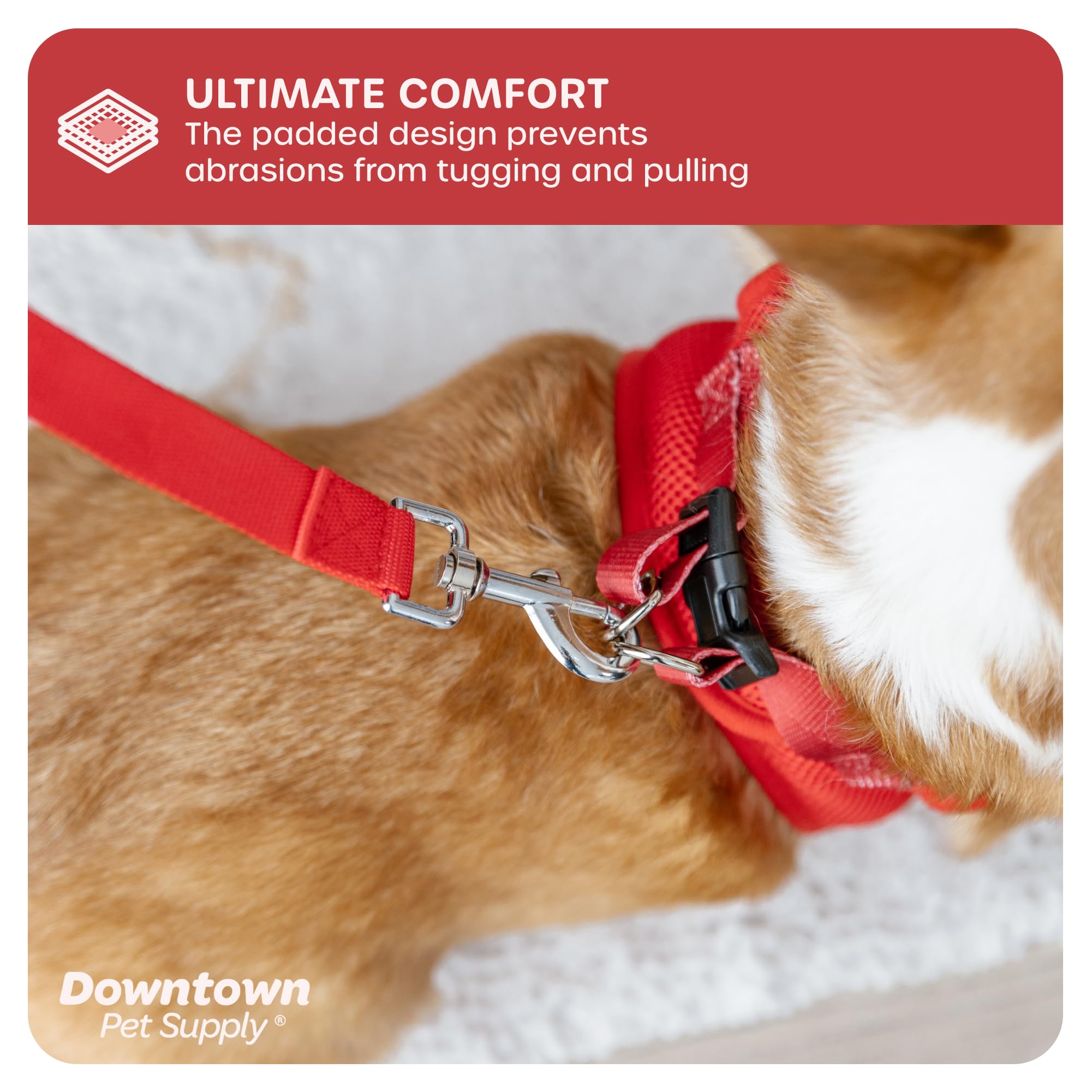 Downtown Pet Supply Step-in No-Pull Dog Harness for Small Dogs & Cats - XX-Small Adjustable Pet Harness with Padded Mesh Fabric & Reflective Trim - Lightweight Buckle Strap Harness for Teacup Puppies (Red) - Perfect for Walking, Training & Outdoor Adventures