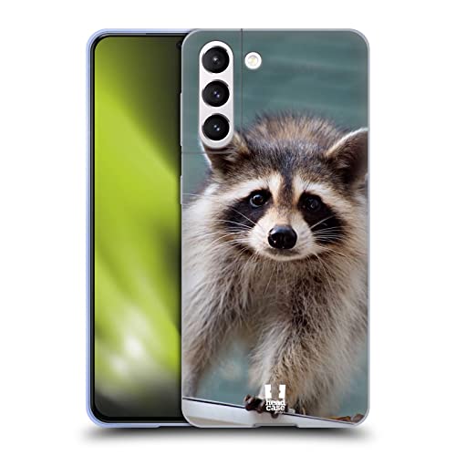 Baby Raccoon