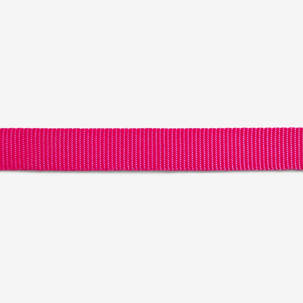 Zee.Dog Pink LED Dog Collar - Glow in The Dark, Adjustable & Waterproof for Night Walks, Safety & Fashion