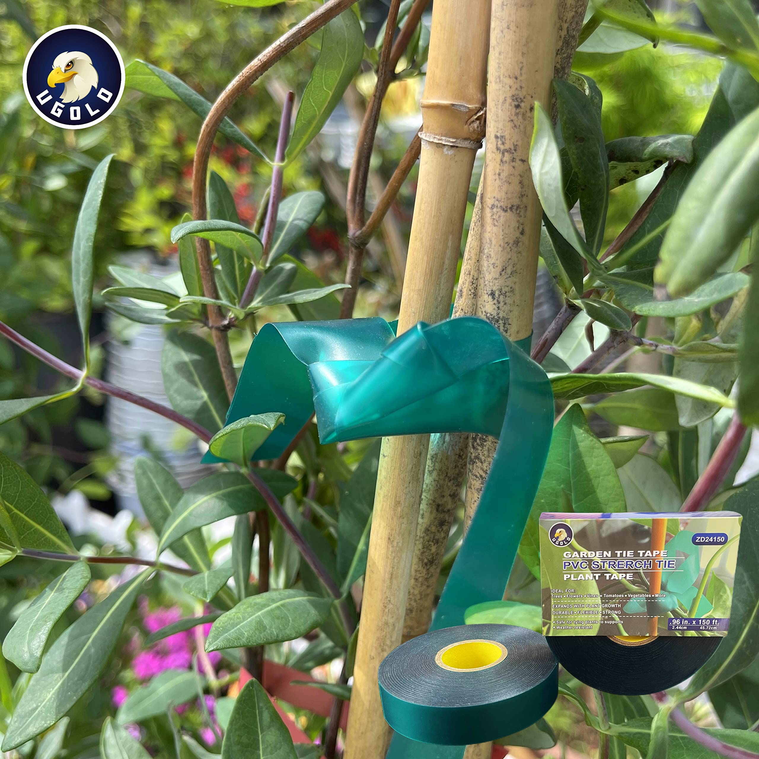 8 Mil Extra Thick 150 Feet x 1 Inch Stretch Plant Tie Tape - Heavy Duty Garden Tape for Planting, Grafting, and Supporting Tomatoes, Grapes, Vines, and Trees | Durable Green Plant Ribbon for Vineyards, Greenhouses, and Home Gardening Use