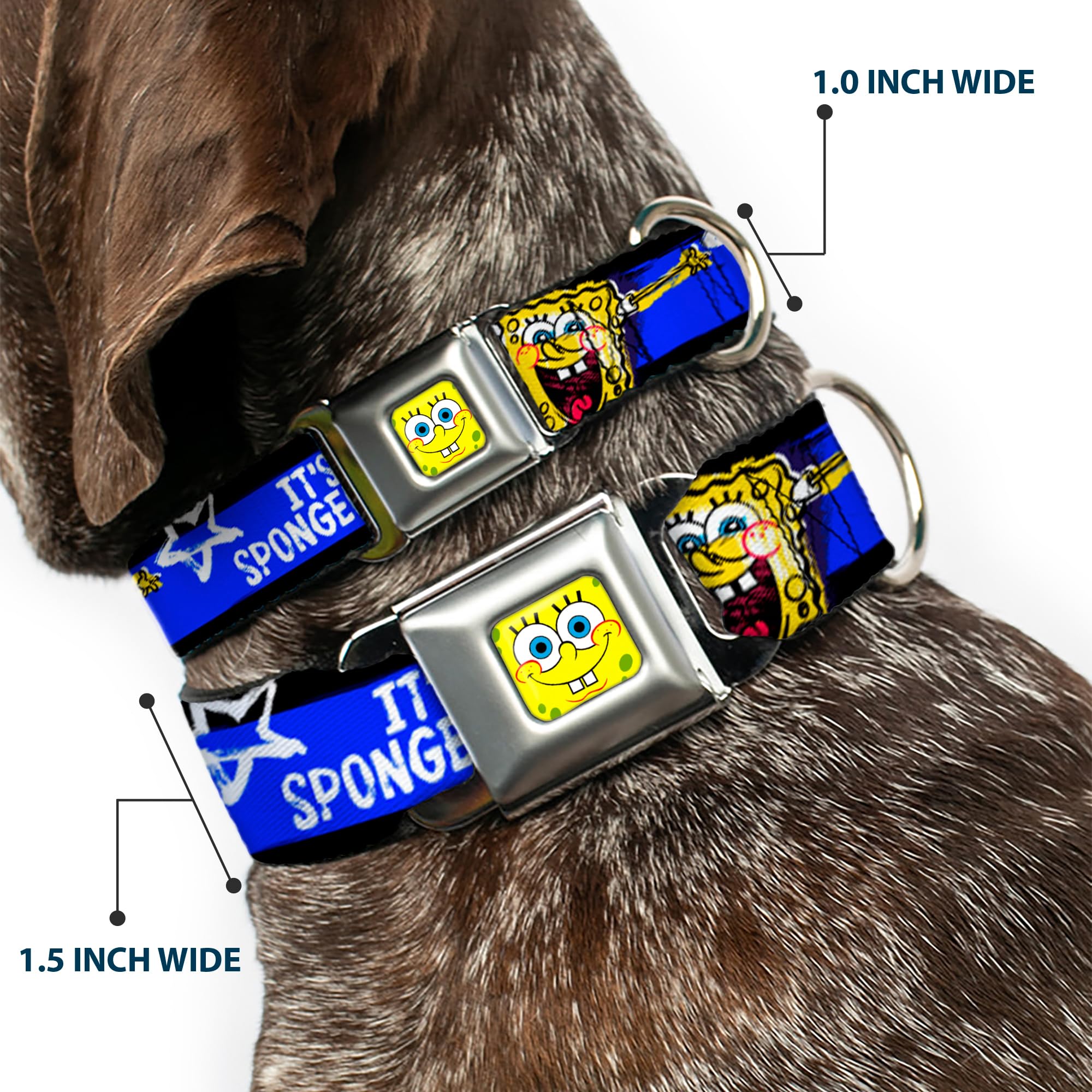 SpongeBob Dog Collar with Seatbelt Buckle - Adjustable 11-17 Inches, 1.0 Inch Wide - Black, Blue & White Striped Pet Safety Harness for Car Rides & Outdoor Adventures