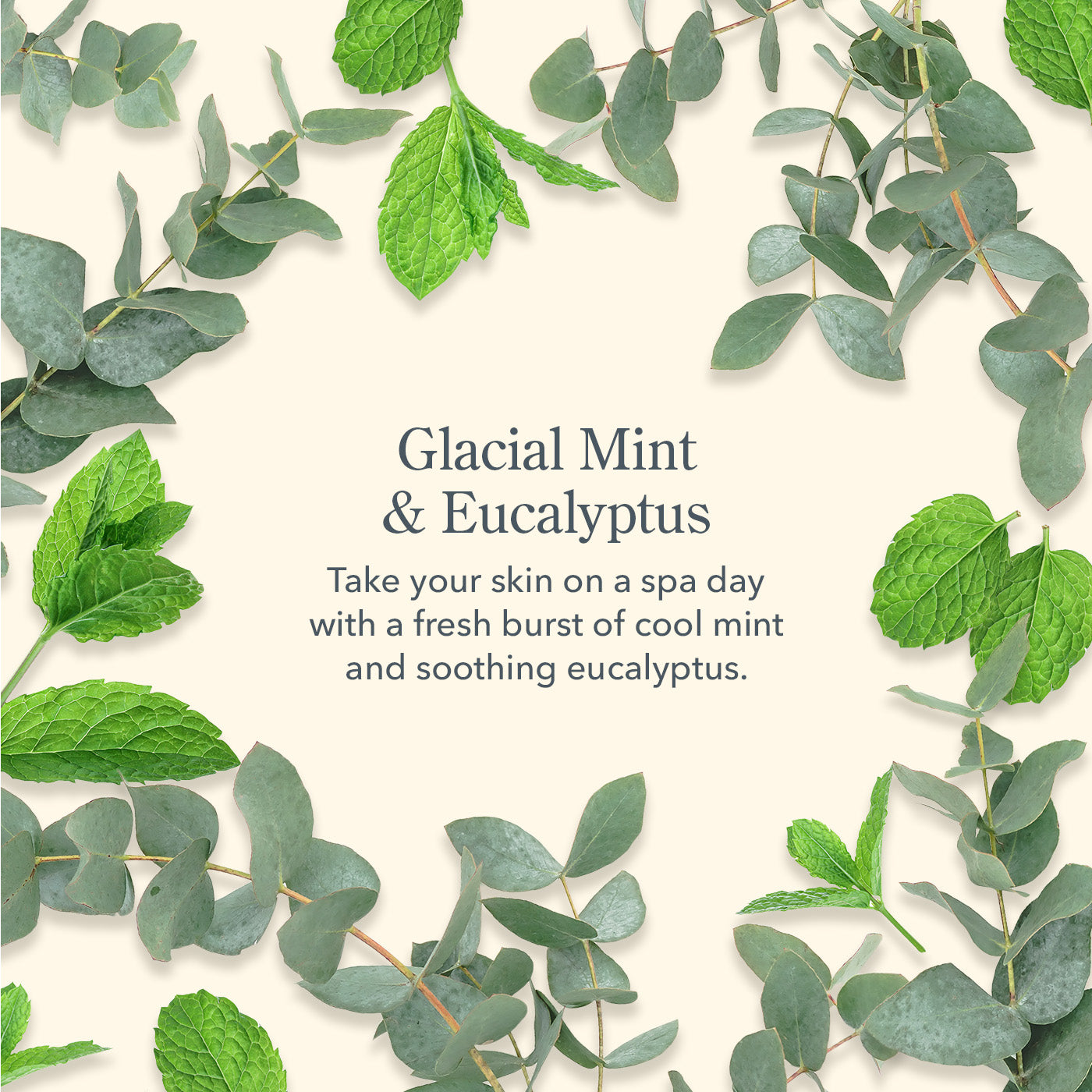 Glacial Mint & Eucalyptus Bodycare Duo Set - Soothing Body Wash & Lotion for Relaxation - Perfect for Spa Nights & Stress Relief at Home