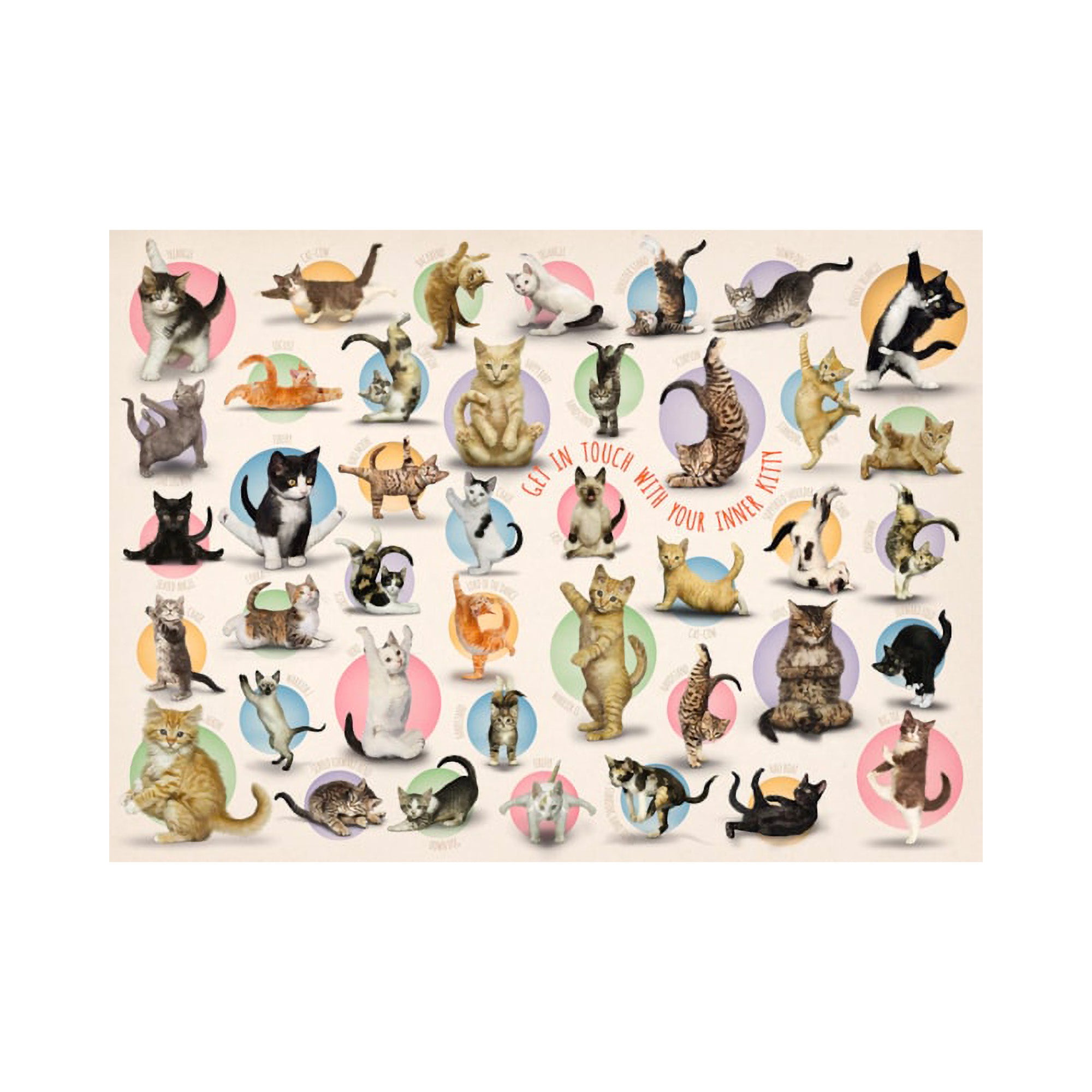 300 Piece XL Jigsaw Puzzle - Yoga Cats for Adults, Large Puzzle for Relaxation & Stress Relief, Fun Home Activity & Gift Idea