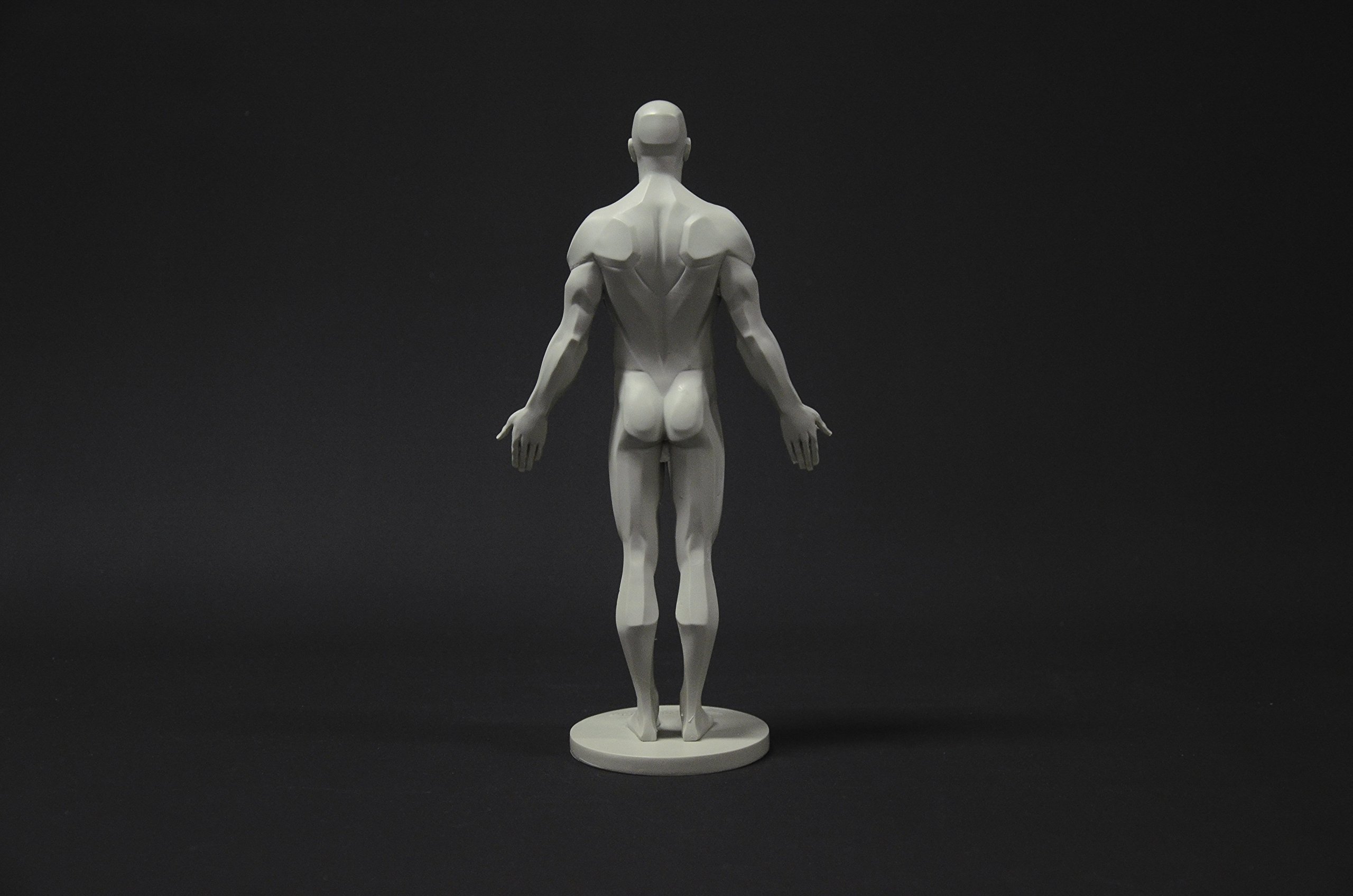 Male Anatomy Figure Collection: Planar, Ecorche & Skin Models - Professional Artist Reference for Human Anatomy Drawing | Perfect for Medical Students, Art Classes & 3D Sculpting