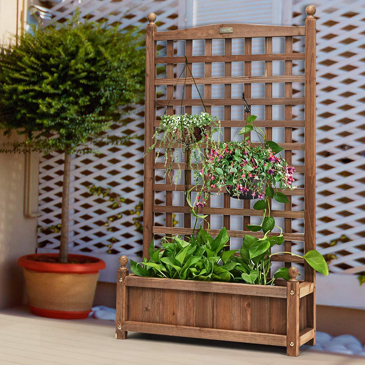GRAFFY Wooden Raised Garden Bed with Trellis - Outdoor Planter Box for Climbing Plants, Vegetables & Flowers - Free Standing Elevated Planter with Drainage Holes - Perfect for Patio, Backyard & Small Space Gardening