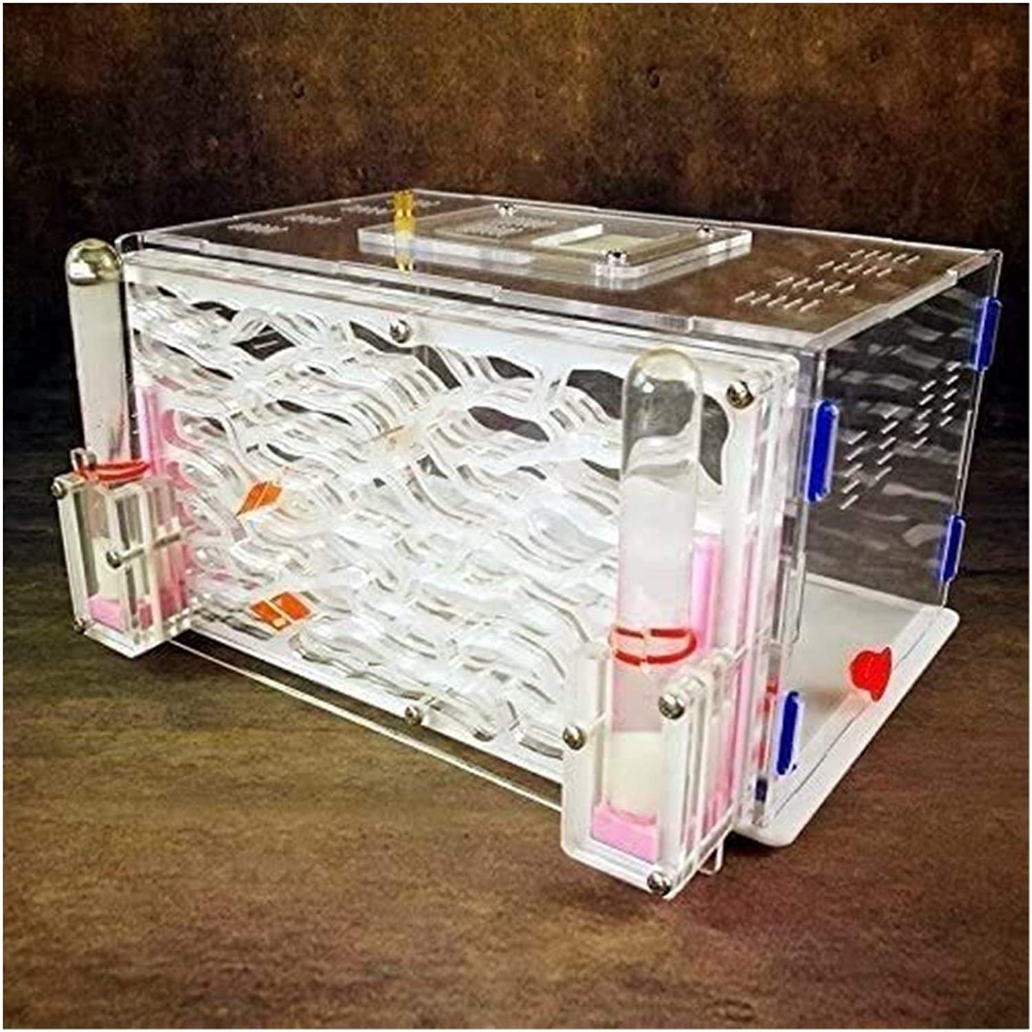 ZLJTT Large Capacity Ant Nest - Ant Farm Habitat with Castle for Kids, Educational Science Kit & Learning Toy for Nature Exploration (White) - Perfect for Classroom STEM Activities & Home Science Experiments