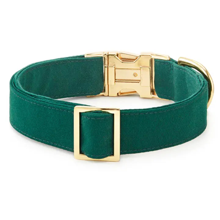 Evergreen Dog Collar - Adjustable, Durable & Stylish Pet Collar for Small, Medium & Large Dogs - Perfect for Walking, Training & Outdoor Adventures