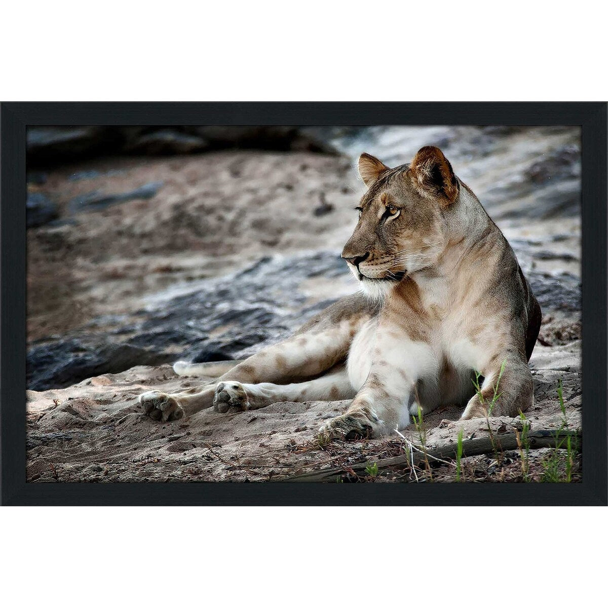 Stylish Afternoon Pose Horizontal Acrylic Print - Perfect for Home Decor, Office Wall Art & Modern Interior Design