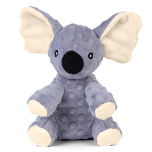 Grey Koala
