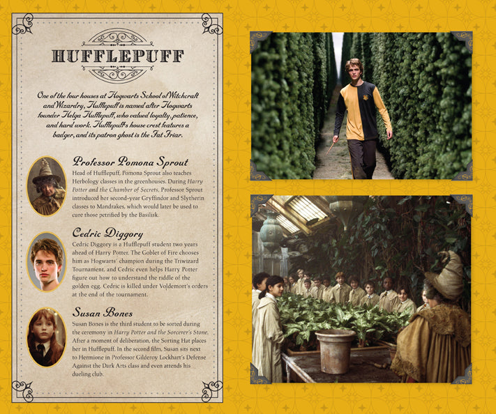 Harry Potter Hufflepuff Hardcover Ruled Notebook - Official Hogwarts Journal for Writing, Note Taking & Collectors | Perfect Gift for Fans & Students