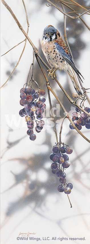 Grape Expectations Limited Edition Paper - Premium Stationery for Writing, Scrapbooking & DIY Crafts - Perfect for Journals, Invitations & Creative Projects