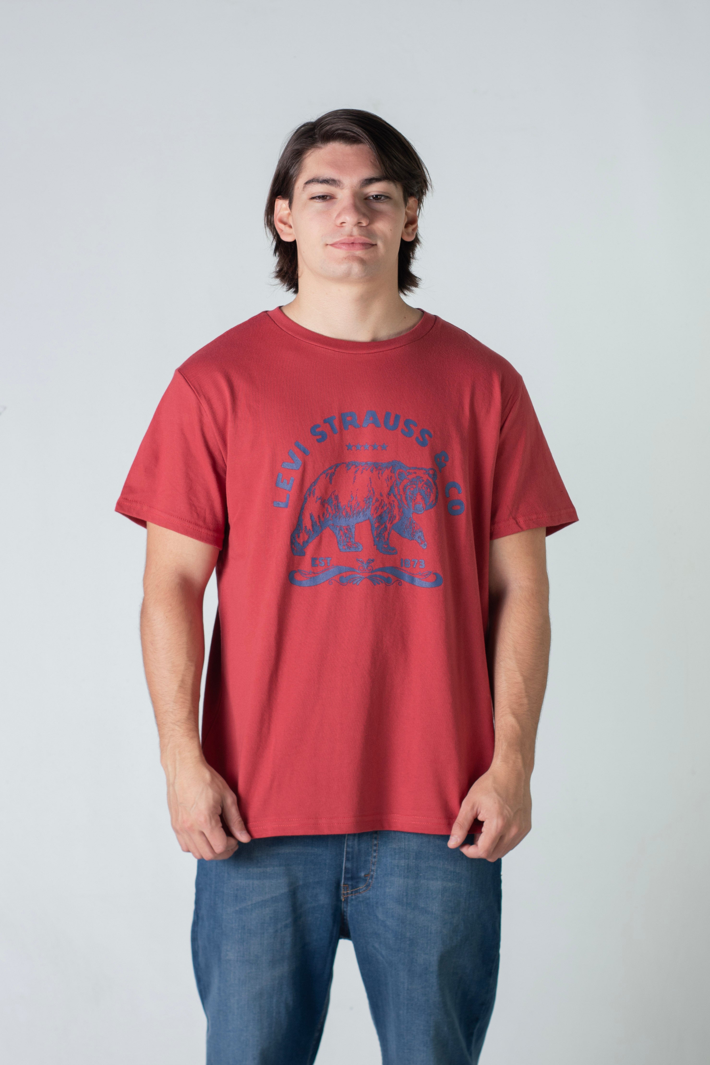 Levi's Graphic T-Shirt for Men - Big Bear Print with Set-In Neck - Casual Wear for Everyday & Street Style Outfits