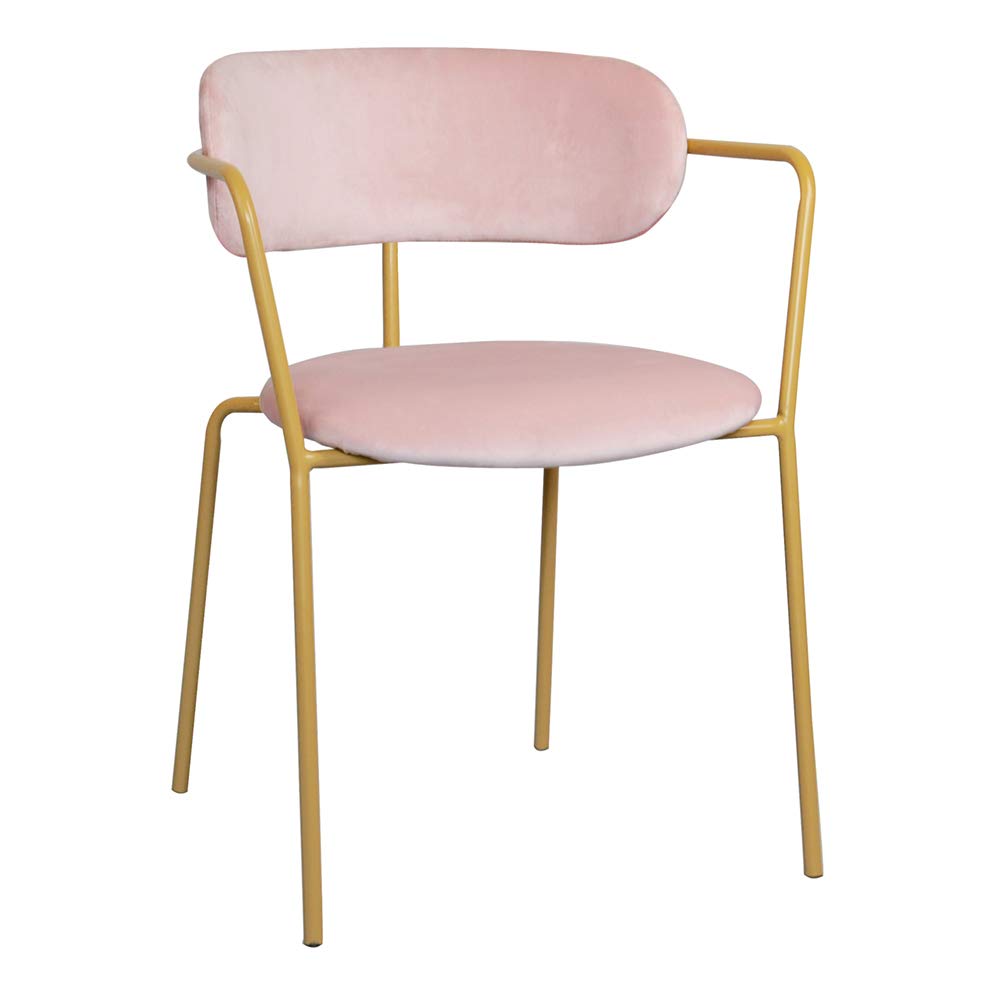 GIA Contemporary Dining Chairs Set of 2 - Velvet Pink Upholstered Seats with Brass Finish Metal Legs - Modern Kitchen & Dining Room Furniture for Home Decor