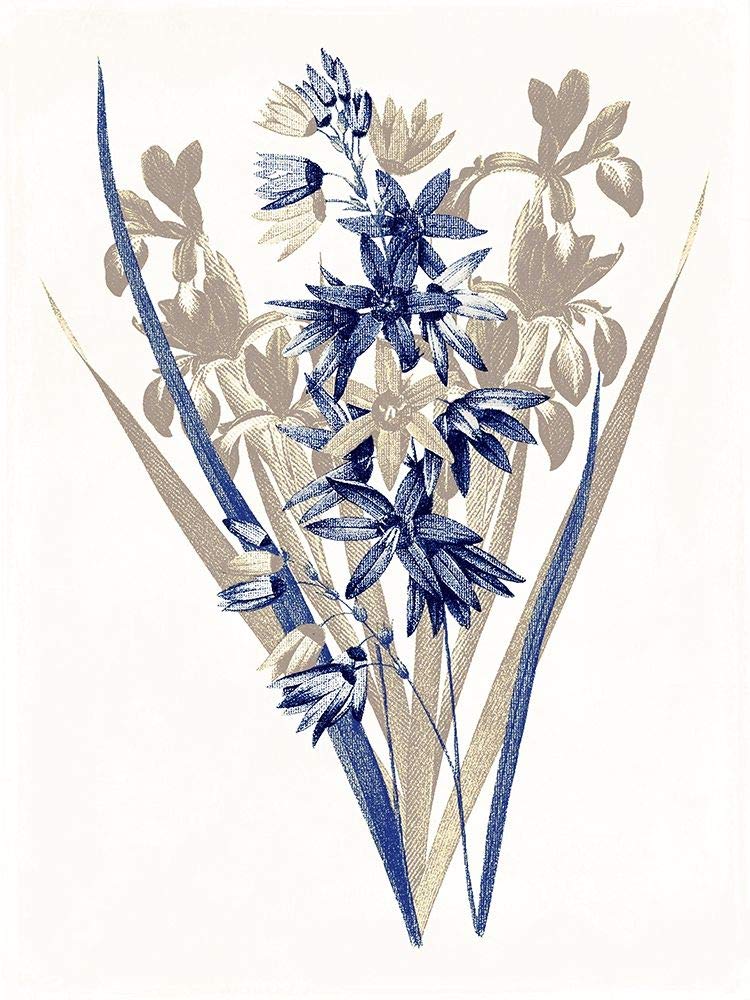 Indigo Flowers Three Jace Grey Poster Print - Vibrant Multicolor Wall Art for Living Room, Bedroom & Office Decor
