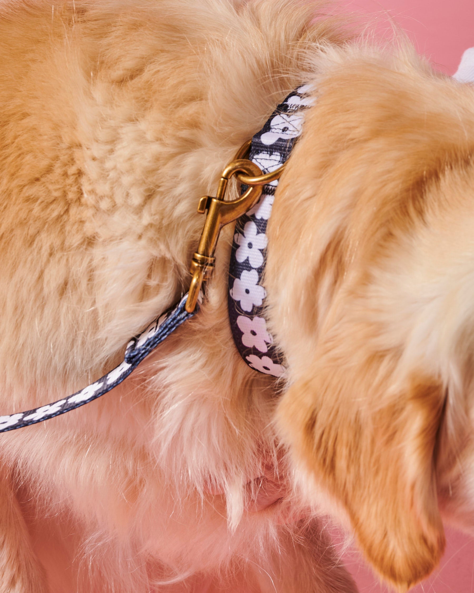 Premium Flower Face Dog Leash - Adjustable & Durable Pet Lead for Small to Medium Dogs - Perfect for Walks, Training & Outdoor Adventures