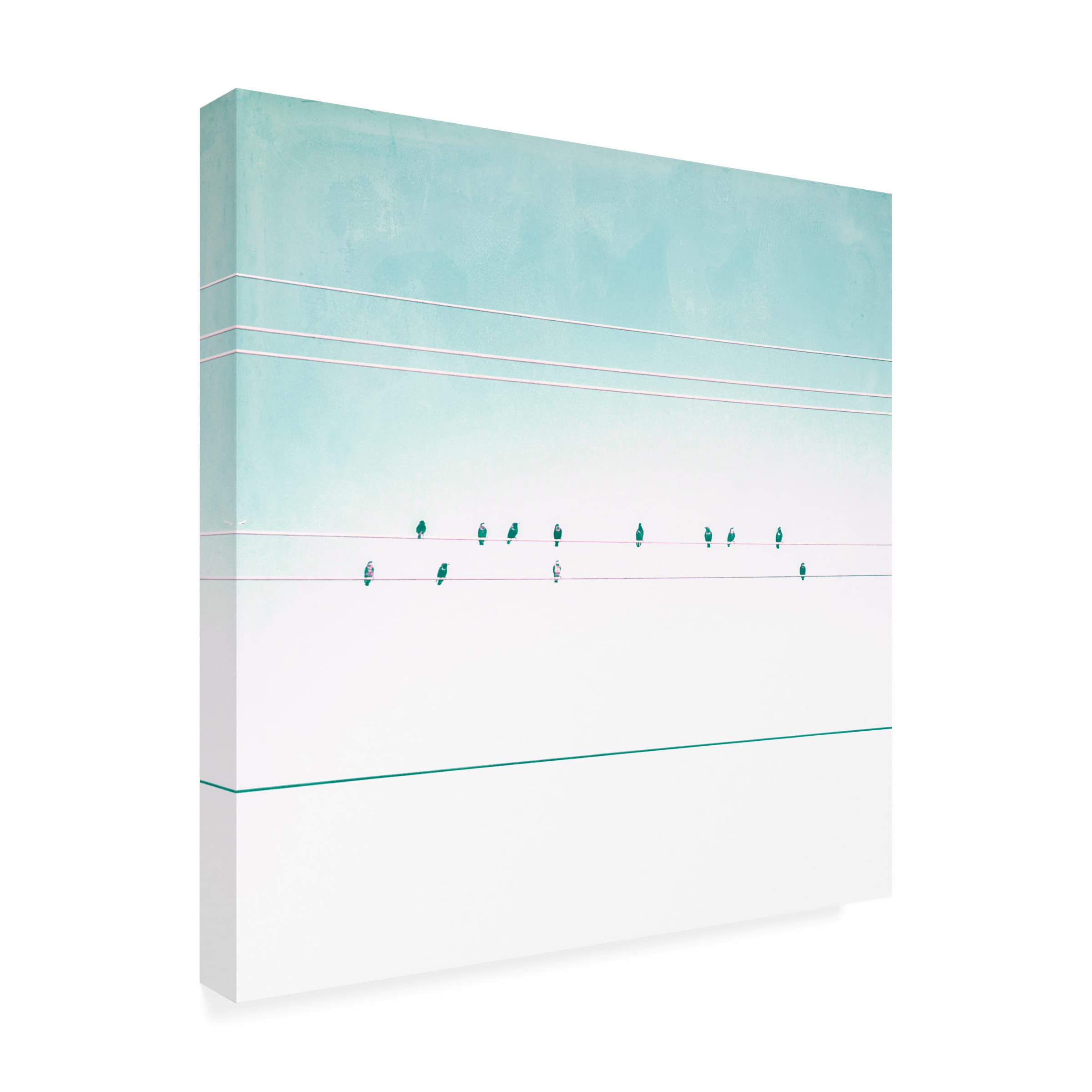 Trademark Fine Art 'Birds on Wires IV' Canvas Wall Art Print by Thomas Brown - Modern Home Decor for Living Room, Bedroom & Office