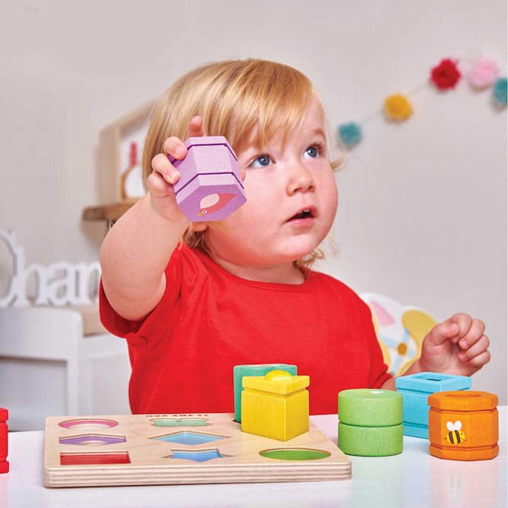 Wooden Sensory Shape Sorting Toy for Toddlers - Montessori Learning & Educational Toys for Kids - Perfect for Early Childhood Development & Playtime Fun