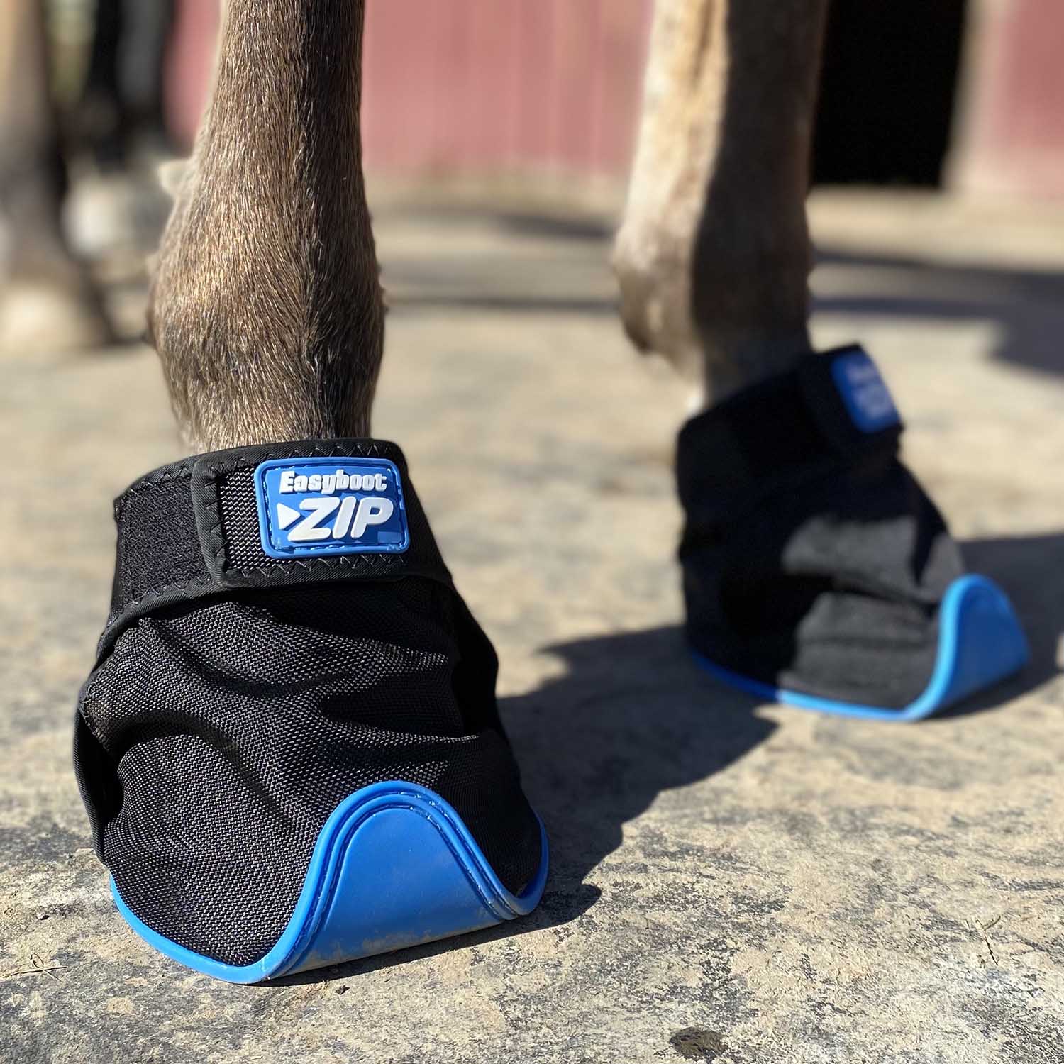 Easyboot ZiP Horse Hoof Boot - Lightweight & Durable Equine Hoof Protection for Trail Riding, Training & Rehabilitation - Perfect for Barefoot Horses & Hoof Care