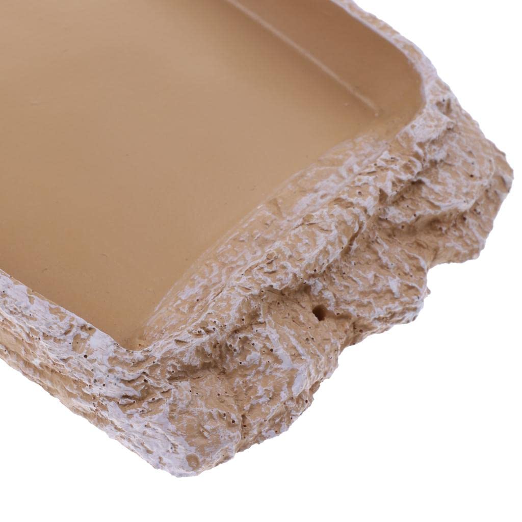 UJEAVETTE Reptile Feeding Bowl - Creamy White NS-14 for Food & Water - Perfect for Terrariums