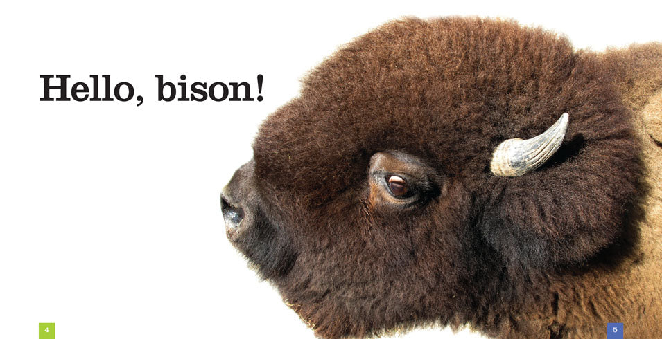 Bison 978-1-60818-795-9 - Premium Quality Book for Collectors, Readers & Researchers | Perfect for Gifts, Libraries & Academic Studies