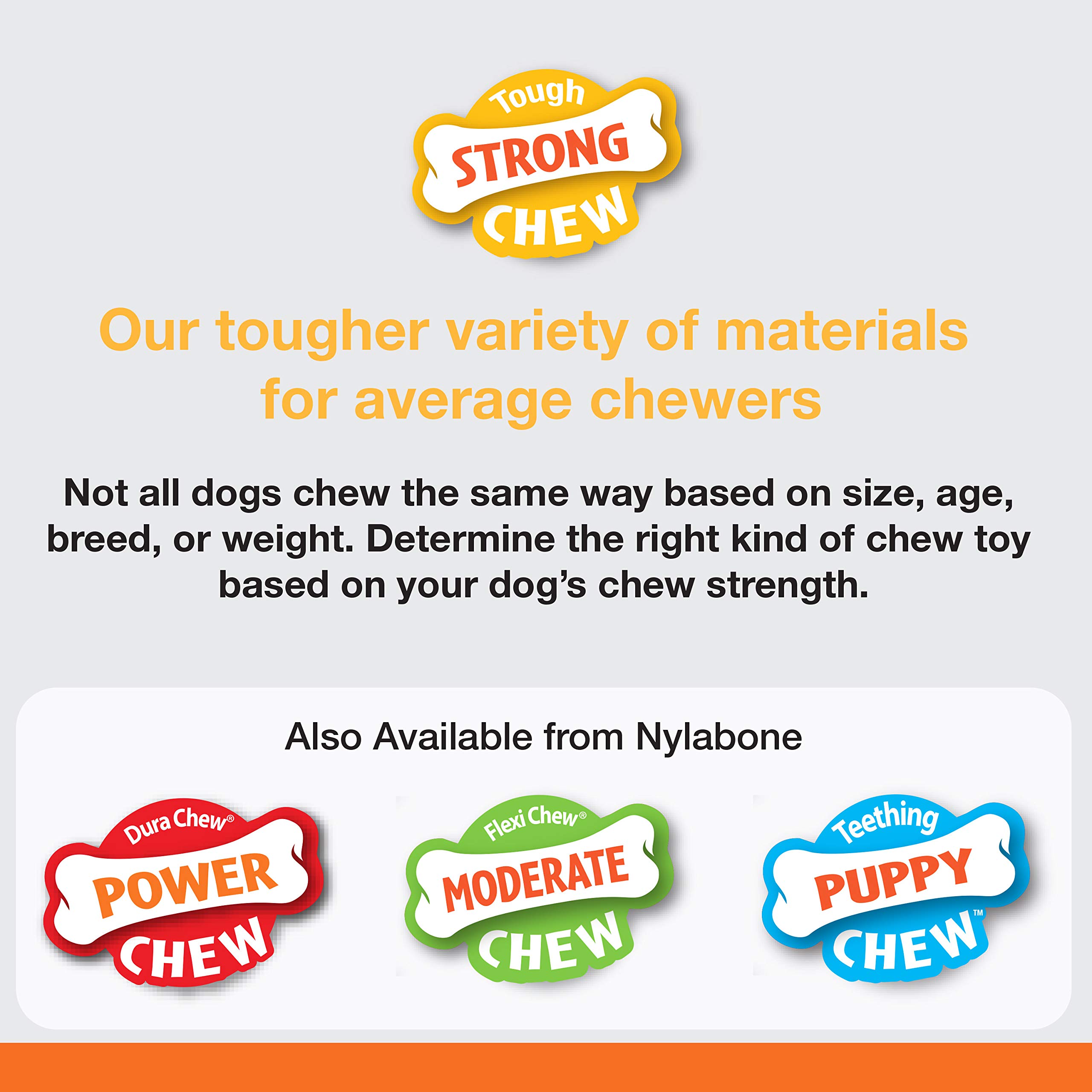 Nylabone Flavor Frenzy Strong Chew Toy for Medium/Large Dogs - Meatloaf & Gravy Flavor (1 Count) - Durable Dog Bone for Aggressive Chewers, Promotes Dental Health - Perfect for Playtime & Training Rewards