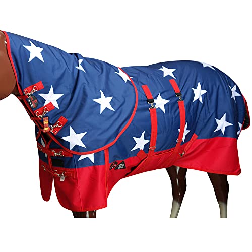US Flag