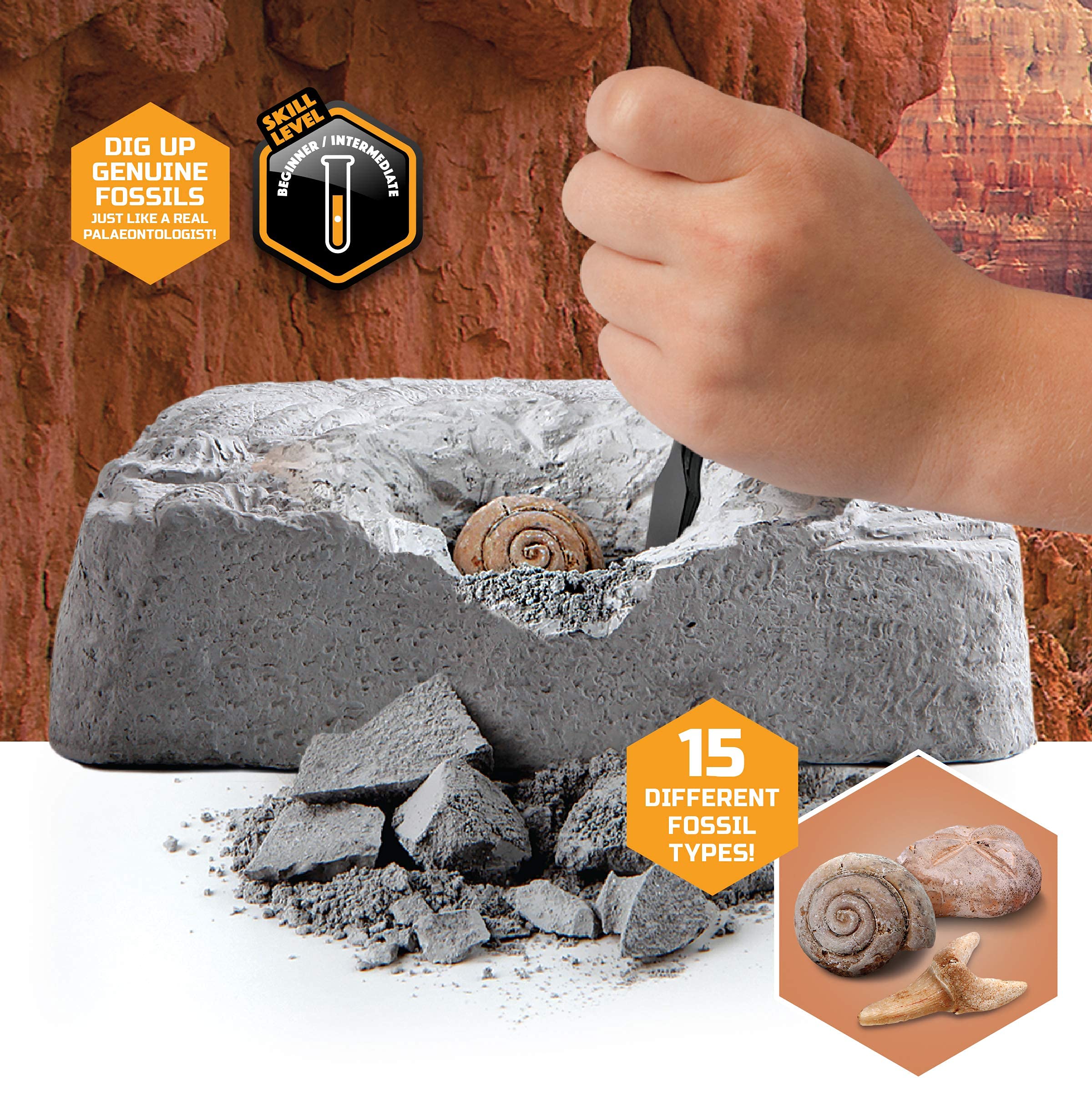 Discovery #MINDBLOWN Colossal Fossil Dig Kit - 15-Piece Archaeology Excavation Set with Real Shark Teeth & Unique Fossils - STEM Educational Toys for Kids - Perfect for Science Projects & Birthday Gifts
