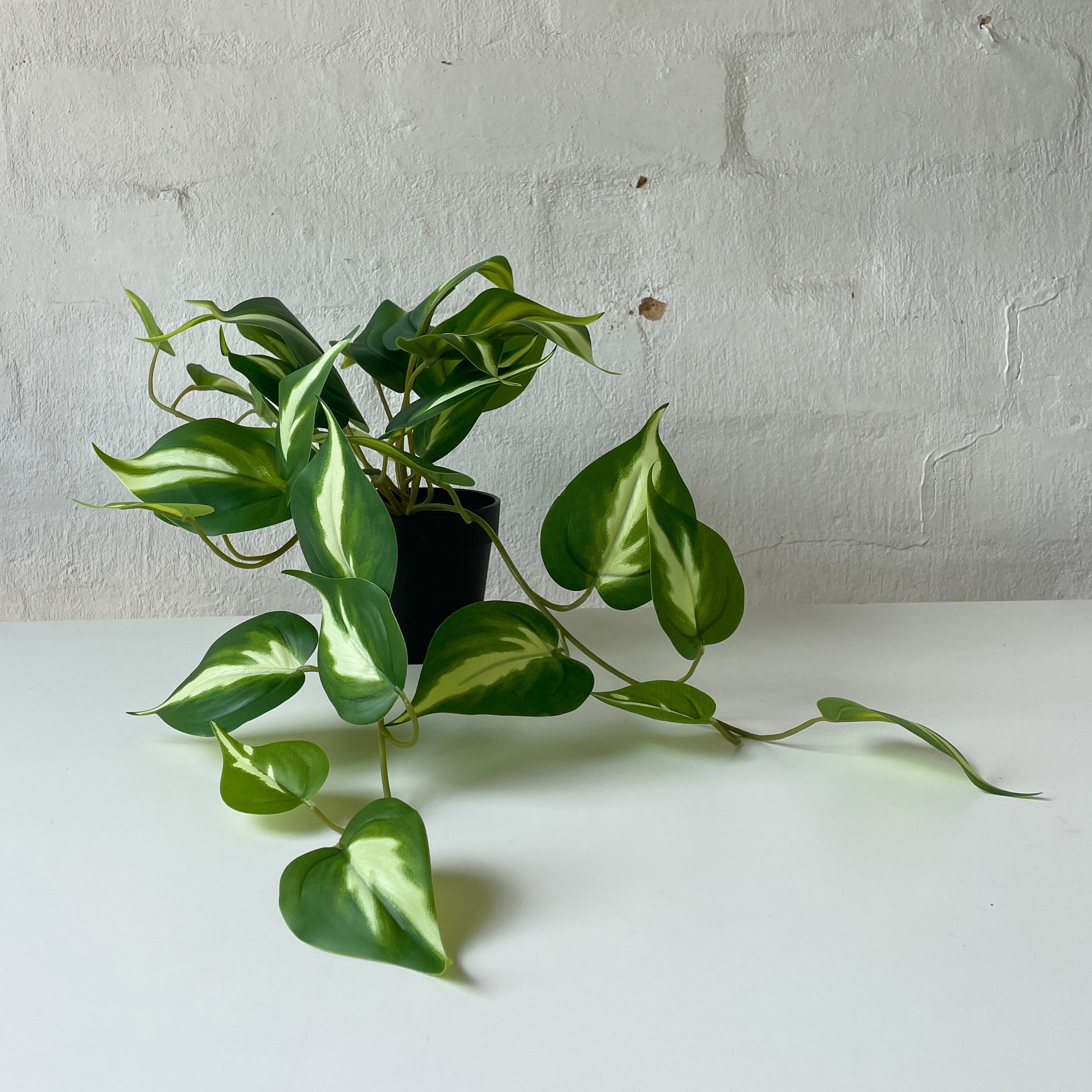 Artificial Pothos Queen Silk Plant - Small Faux Hanging Vine for Home & Office Decor - Perfect for Shelves, Bathrooms, and Indoor Spaces