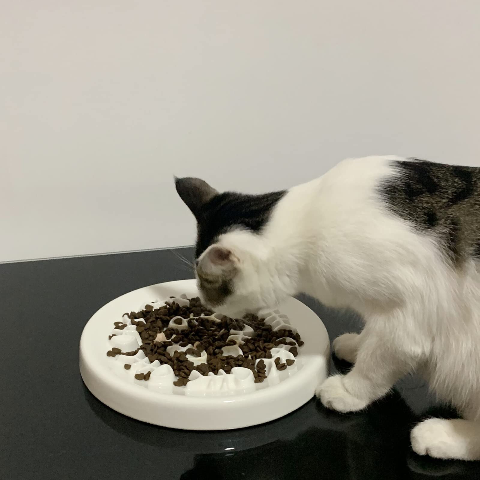 Ceramic Slow Feeder Cat Bowl - Interactive Puzzle Design for Healthy Eating, Bloat Prevention - Fun Feeding Solution for Cats & Small Dogs (Fish Bone Design) - Perfect for Mealtime Enrichment and Portion Control