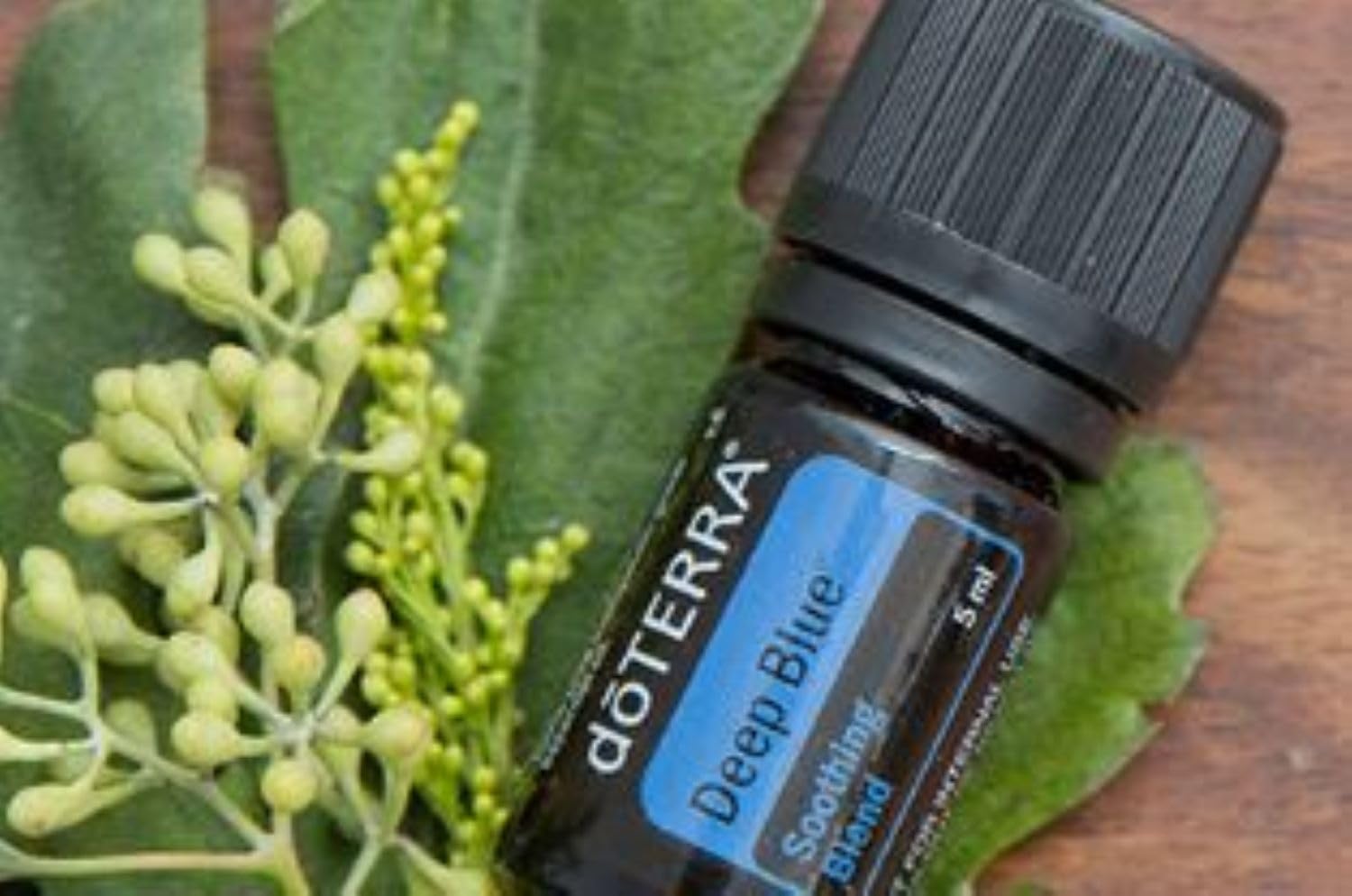 doTERRA Deep Blue Essential Oil Soothing Blend - 5ml (2 Pack) - Natural Pain Relief for Muscles & Joints - Perfect for Massage, Yoga & Post-Workout Recovery