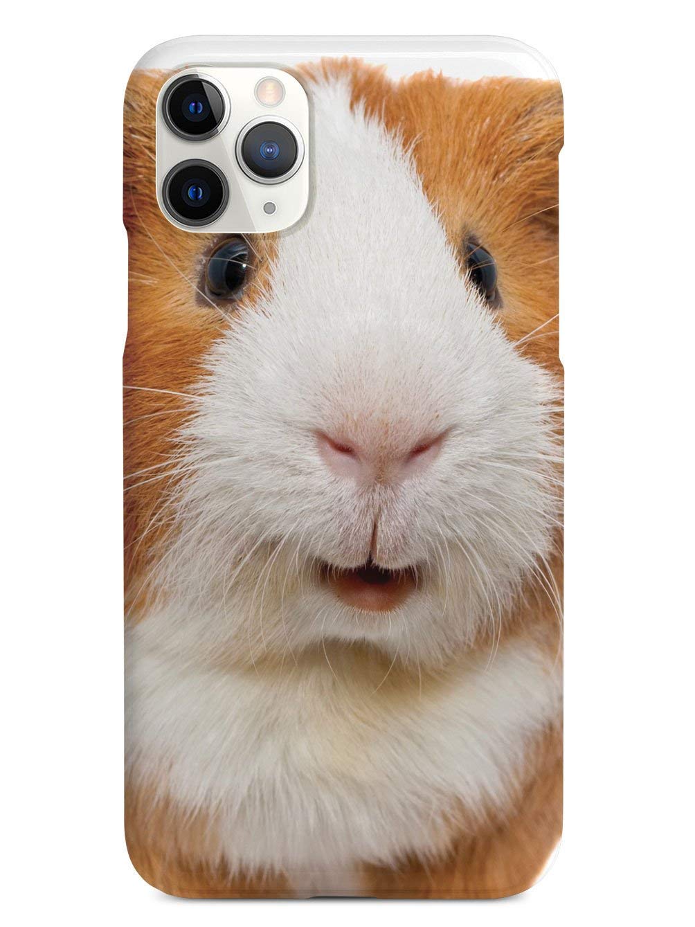 Premium 3D Textured Protective Phone Case for Apple iPhone 11 Pro - Cute Guinea Pig Design - Shockproof & Scratch-Resistant Cover - Perfect for Daily Use, Travel, and Gift Giving