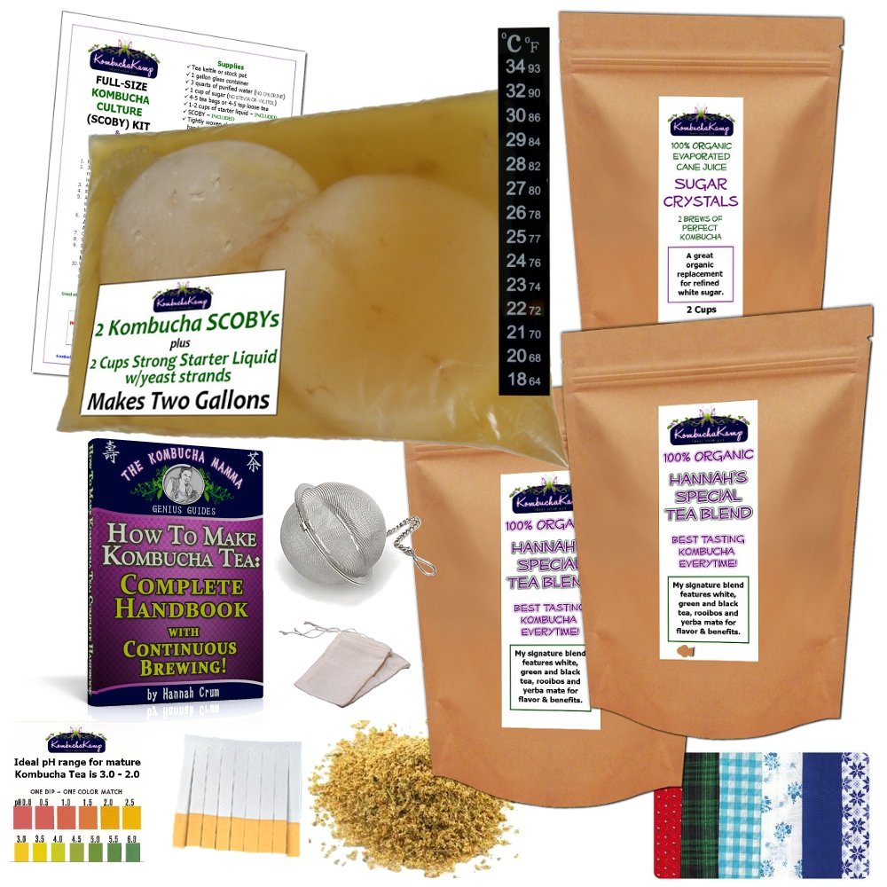 Organic Kombucha Mushroom Kit with 2 SCOBYs & Starter Liquid - Complete DIY Brewing Guide for Home Fermentation - Perfect for Healthy Gut & Probiotic Drinks