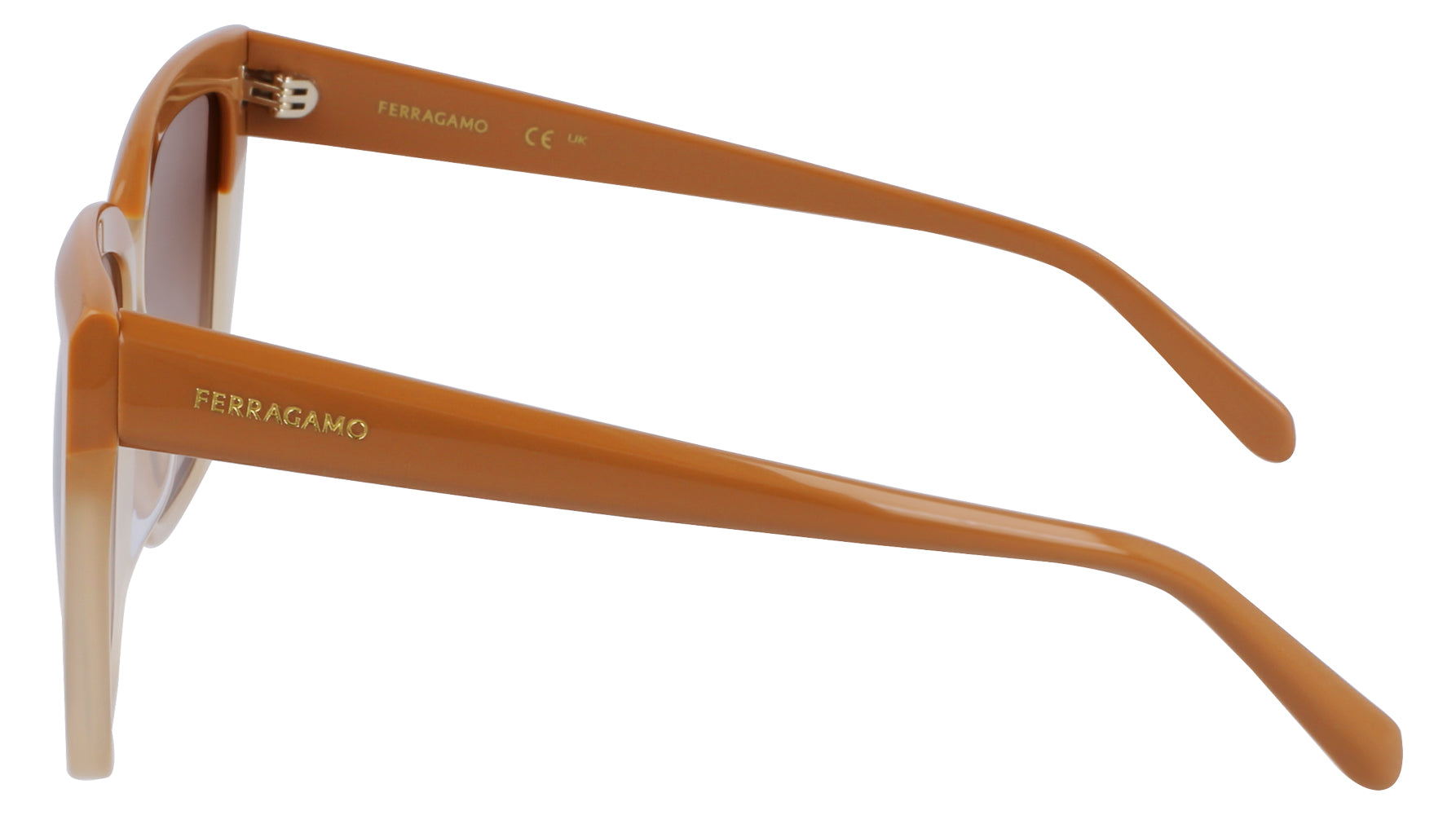 Ferragamo SF1102S Sunglasses for Women - Luxury Designer Shades with UV Protection - Perfect for Outdoor Activities, Travel & Fashion Accessories