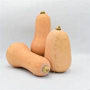 Organic Waltham Butternut Squash Seeds for Planting - Non-GMO, Heirloom Variety - Perfect for Home Gardening, Fall Harvest & Pumpkin Patches - $3.50 Pack
