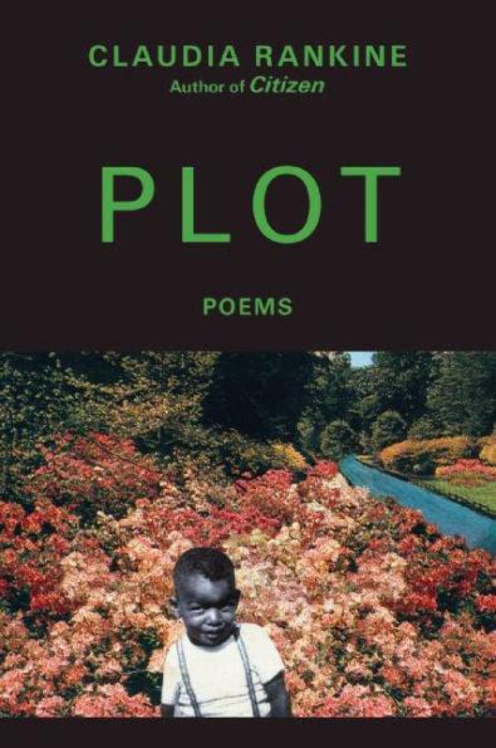 Plot (Grove Press Poetry Series) - Contemporary Poetry Collection for Literature Lovers, Book Clubs & Creative Writing Inspiration