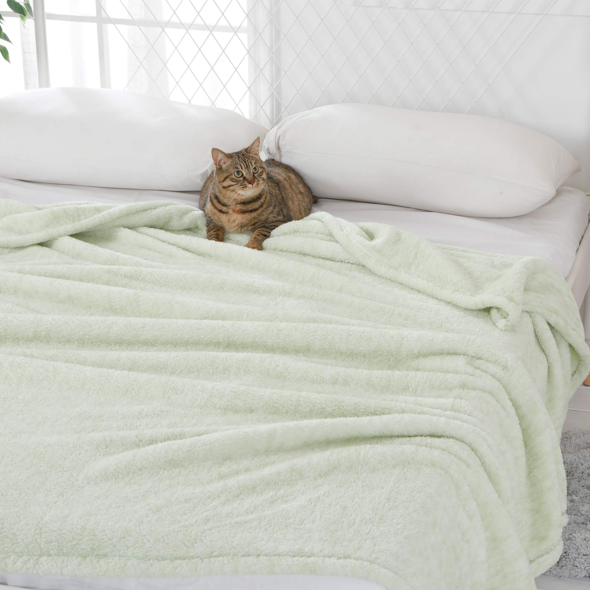 SOCHOW Sherpa Fleece Throw Blanket - Ultra Soft Lightweight Warm Plush Blanket for Bed, Couch & Sofa - 60