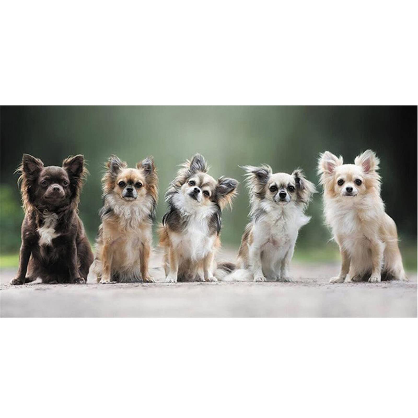 5D DIY Diamond Painting Kit for Adults - Full Drill Dog Pet Diamond Art, Cross Stitch Gem Wall Decor (32x64 Inch) | Relaxing Craft for Home Decor & Gift Giving